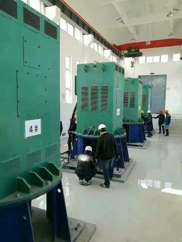国营龙江农场某污水处理厂使用我厂的立式高压电机安装现场