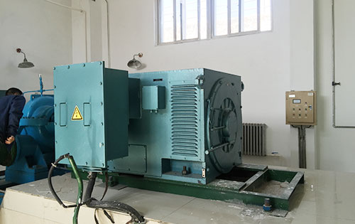国营龙江农场某水电站工程主水泵使用我公司高压电机