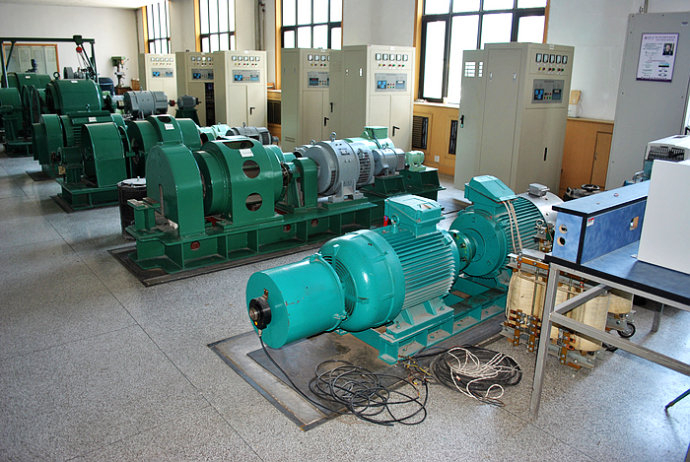 国营龙江农场某热电厂使用我厂的YKK高压电机提供动力